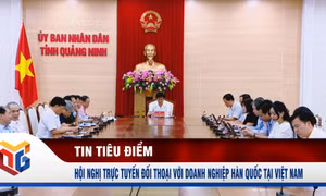 Hội nghị trực tuyến đối thoại với doanh nghiệp Hàn Quốc tại Việt Nam