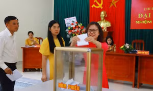 100% các chi bộ thôn, bản, khu phố trên địa bàn tỉnh hoàn thành Đại hội chi bộ nhiệm kỳ 2022-2025