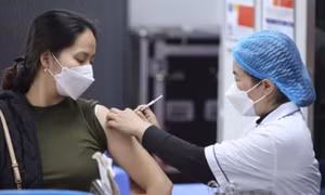 Bộ Y tế: Hiện cơ bản gần như cả nước đã là vùng xanh về dịch COVID-19