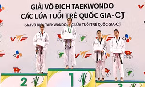 Quảng Ninh giành 9 huy chương tại Giải Vô địch Taekwondo các lứa tuổi trẻ Quốc gia năm 2022