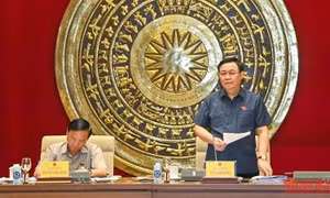 Làm tốt công tác cung cấp thông tin, luận cứ khoa học về các dự án luật trình Quốc hội