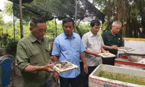 CCB Chu Quang Việt - Sáng mãi phẩm chất Bộ đội Cụ Hồ