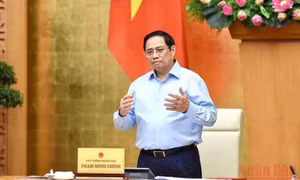 Nỗ lực thúc đẩy phục hồi và phát triển kinh tế-xã hội nhanh và bền vững