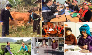 Hỗ trợ người nghèo phát triển sản xuất nông nghiệp