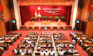 Kỳ họp thứ 9, HĐND tỉnh khóa XIV: Thảo luận tại hội trường về Quy hoạch tỉnh