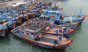 Yêu cầu Trung Quốc tôn trọng chủ quyền của Việt Nam ở Hoàng Sa