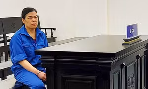 Phạt tù cựu giáo viên tiểu học lừa đảo xin việc