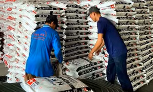 Nhập khẩu phân bón từ Nga tăng đột biến