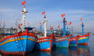 Nghiên cứu hỗ trợ ngư dân ảnh hưởng do giá xăng, dầu