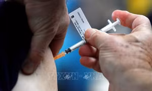 Vaccine dạng dán chống lại các biến thể của SARS-CoV-2 hiệu quả hơn