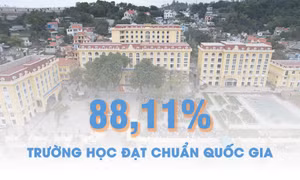 88,11% trường học của Quảng Ninh đạt chuẩn quốc gia