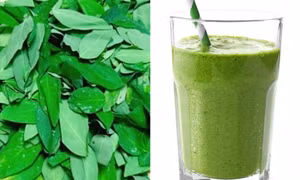  Dấu hiệu ngộ độc do uống nước ép rau ngót giảm cân sai cách