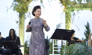 Đơn vị tổ chức họp báo đêm nhạc Khánh Ly bị phạt 4 triệu đồng
