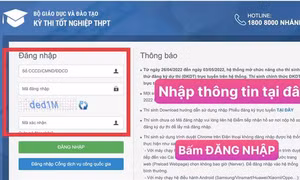 Chi tiết các bước đăng ký xét tuyển nguyện vọng đại học trực tuyến