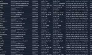 Hacker rao bán 'dữ liệu trường học của 30 triệu người Việt'