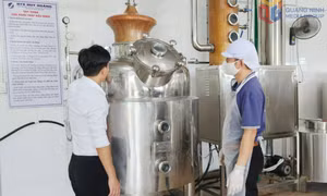 Đổi mới công nghệ, nâng tầm năng lực cạnh tranh