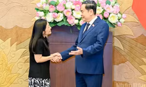 Tạo cơ chế đối thoại thường xuyên, thực chất giữa cơ quan lập pháp Việt Nam-Hoa Kỳ