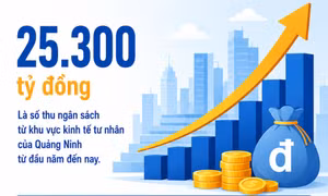 25.300 tỷ đồng - là số thu ngân sách từ khu vực kinh tế tư nhân của Quảng Ninh từ đầu năm đến nay
