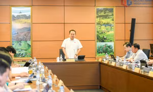 Đoàn ĐBQH tỉnh thống nhất cao với việc thành lập thành phố Quảng Ninh