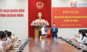 Công bố quyết định của UBND tỉnh về công tác cán bộ
