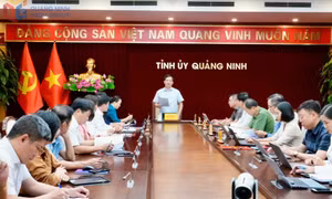 Đồng chí Phó Bí thư Tỉnh ủy, Chủ tịch Ủy ban MTTQ tỉnh Vũ Quyết Tiến làm việc với Ban Tuyên giáo và Dân vận Tỉnh ủy 
