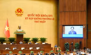 Thông cáo báo chí số 10, Kỳ họp không thường lệ thứ nhất, Quốc hội khóa XVI