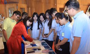 Triển lãm "Di tích Quốc gia đặc biệt Văn Miếu-Quốc Tử Giám và truyền thống hiếu học Quảng Ninh"