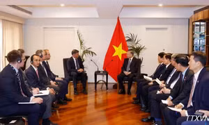 Tổng Bí thư, Chủ tịch nước Tô Lâm tiếp Lãnh đạo Liên đảng Tự do-Quốc gia Australia