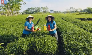 Hội Nông dân xã Quảng Đức: Đồng hành cùng nông dân trên hành trình chuyển đổi số