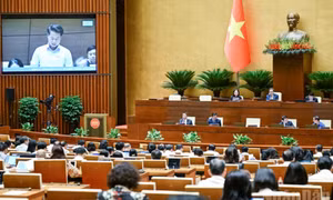 Bảo đảm sự nghiêm minh của pháp luật, khuyến khích đổi mới sáng tạo