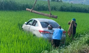 Tài xế xe dịch vụ nghi đột quỵ khi đang lái, ô tô lao xuống ruộng