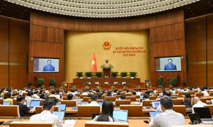 Đề xuất điều chỉnh chủ trương đầu tư dự án đường sắt Lào Cai-Hà Nội-Hải Phòng, tăng thêm hơn 86 nghìn tỷ đồng