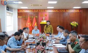 Đoàn ĐBQH tỉnh tham vấn, lấy ý kiến góp ý một số dự án luật trình Quốc hội