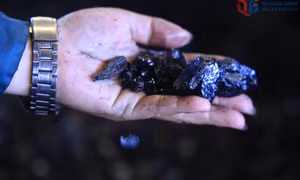 Một ngày với công nhân nhà sàng Cửa Ông