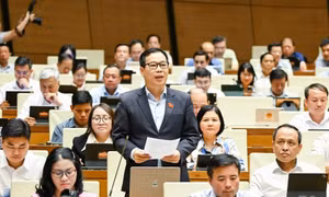 Cần bổ sung trách nhiệm của nền tảng số, ứng dụng AI trong phổ biến, giáo dục pháp luật