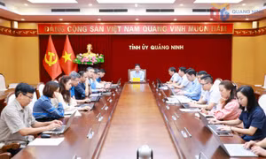 Ban Tổ chức Trung ương lấy ý kiến góp ý dự thảo sửa đổi, bổ sung Quy định số 366-QĐ/TW của Bộ Chính trị