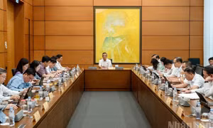Đổi mới hệ thống chỉ tiêu tư pháp, nâng cao hiệu quả giám sát