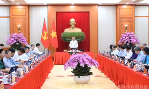 Triển khai nhiệm vụ tổng kết thực tiễn và nghiên cứu sửa đổi, bổ sung Điều lệ Đảng