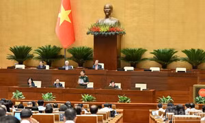 Đề xuất nhiều giải pháp hoàn thiện pháp luật về quân sự, quốc phòng