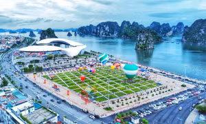 Thức cùng thành phố trẻ