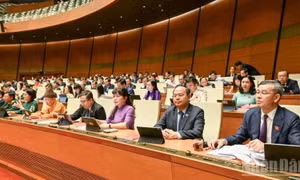 Trình Quốc hội cơ chế đặc thù xử lý vi phạm liên quan kinh tế Nhà nước, kinh tế tư nhân
