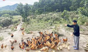 Ưu tiên nguồn lực chăm lo vùng đồng bào dân tộc thiểu số
