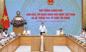Kết luận của Thủ tướng Lê Minh Hưng tại Buổi làm việc với Ngân hàng Nhà nước Việt Nam và hệ thống các tổ chức tín dụng
