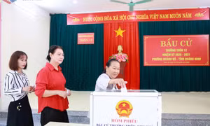 Gửi gắm niềm tin từ những lá phiếu