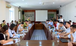 Hội thảo "Tiềm năng và giải pháp phát triển chuỗi giá trị hồi, quế tại Quảng Ninh"