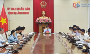 Phát huy trách nhiệm của sở, ngành, địa phương trong thực hiện mục tiêu tăng trưởng kinh tế