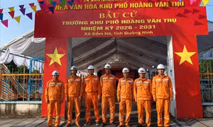 Điện lực Quảng Ninh đồng loạt ra quân tuyên truyền App EVN CSKH vào ngày bầu cử Khu trưởng nhiệm kỳ 2026-2031