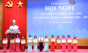 Phường Hạ Long triển khai nhiệm vụ năm học 2026-2027