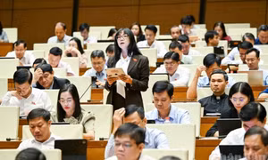 Đại biểu Quốc hội đề xuất siết giám sát tài sản mã hóa để kiểm soát rủi ro rửa tiền