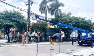 Chỉnh trang lưới điện hạ thế tại các phường trung tâm